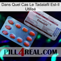 Dans Quel Cas Le Tadalafil Est-Il Utilisé 36